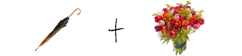 Formula.png