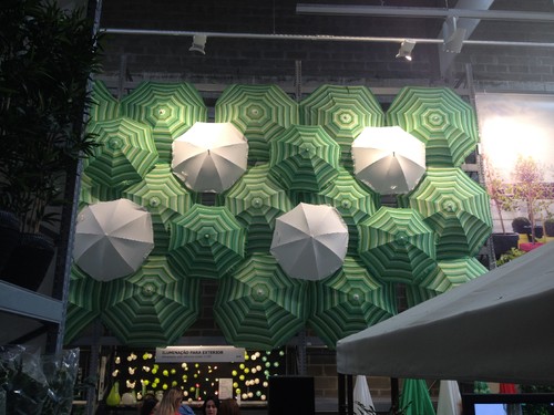 fotografia 1 (1).JPG